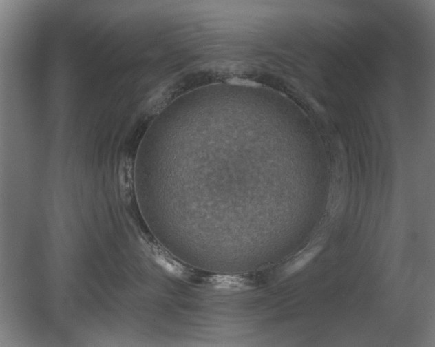 X0000079580528200612011221