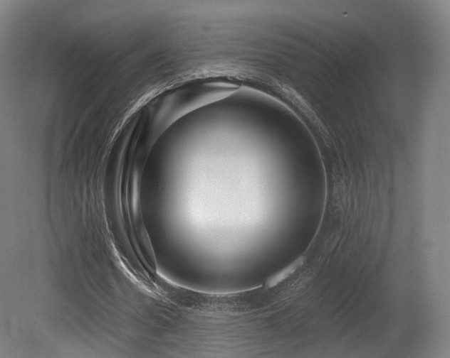 X0000079580530200612011220