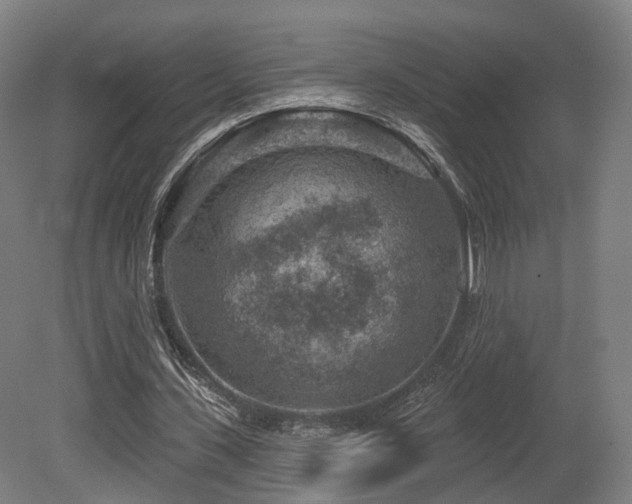 X0000079580531200612011220