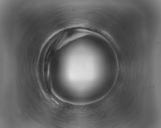 X0000079580532200612011220