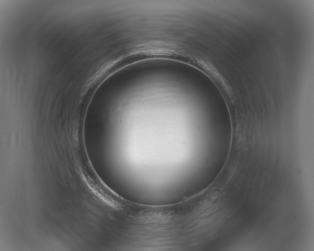 X0000079580533200612011220