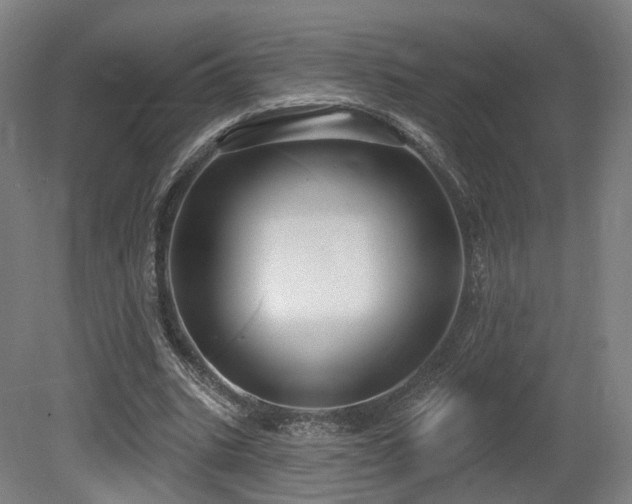 X0000079580535200612011220