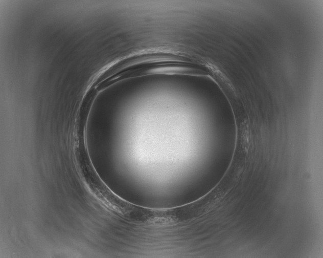 X0000079580536200612011220