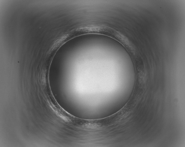 X0000079580537200612011220