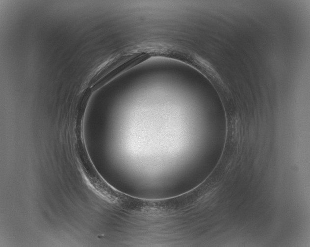 X0000079580538200612011220