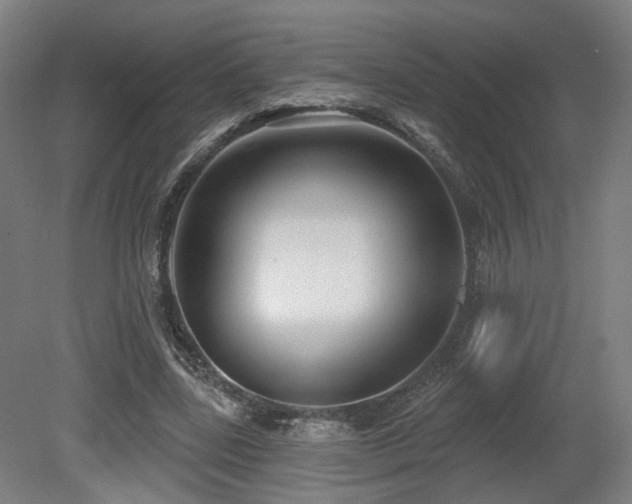 X0000079580539200612011220