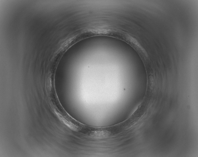 X0000079580541200612011220