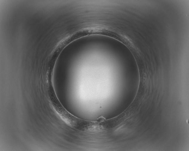 X0000079580543200612011220