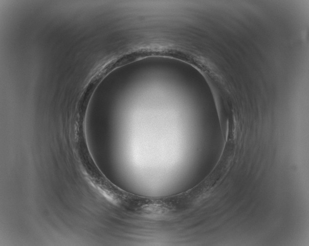 X0000079580544200612011220