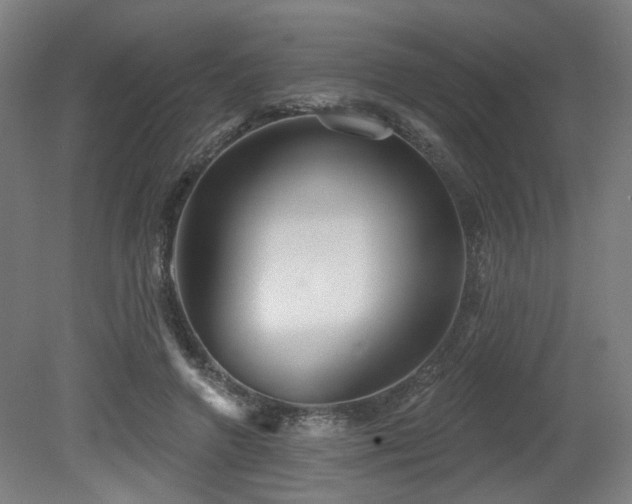 X0000079580546200612011221