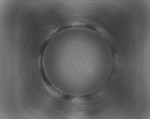 X0000079580550200612011221