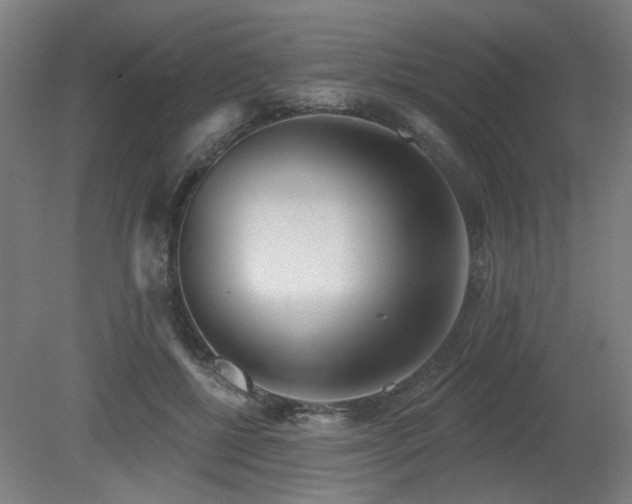 X0000079580552200612011221