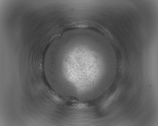 X0000079580553200612011221