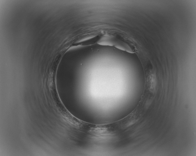 X0000079580554200612011221