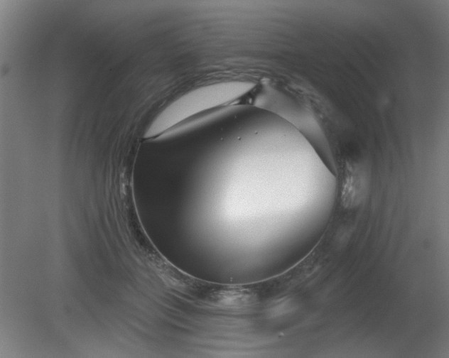 X0000079580555200612011221