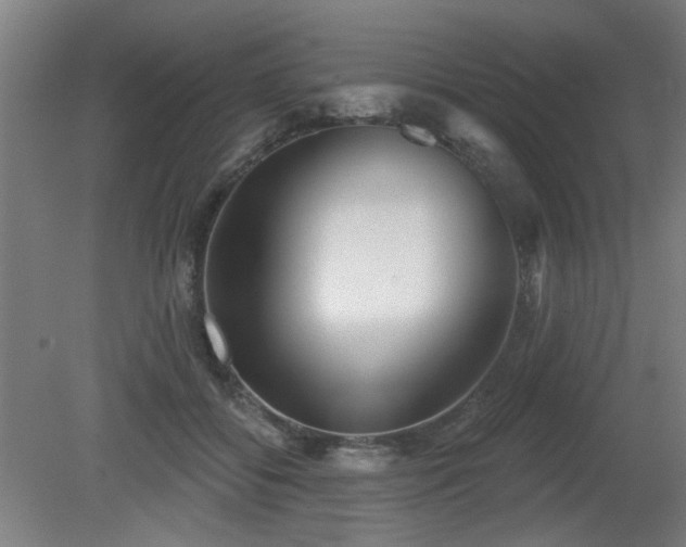 X0000079580556200612011221
