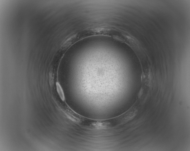 X0000079580558200612011221