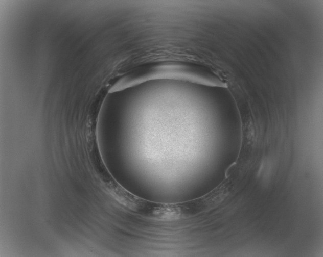 X0000079580559200612011221