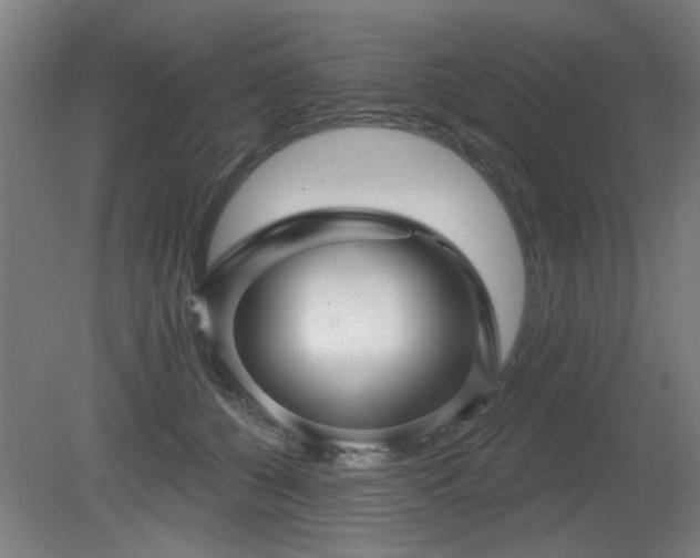 X0000079580560200612011221