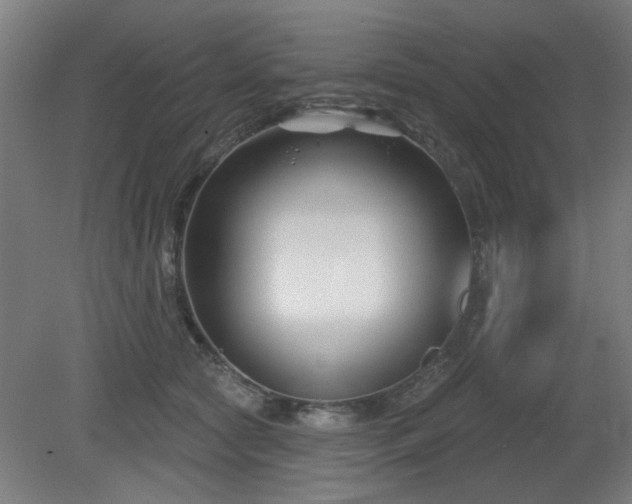 X0000079580561200612011221