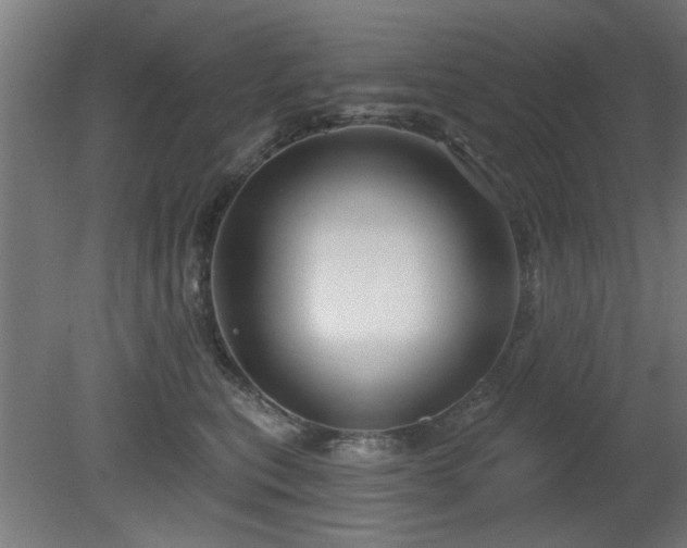 X0000079580567200612011221