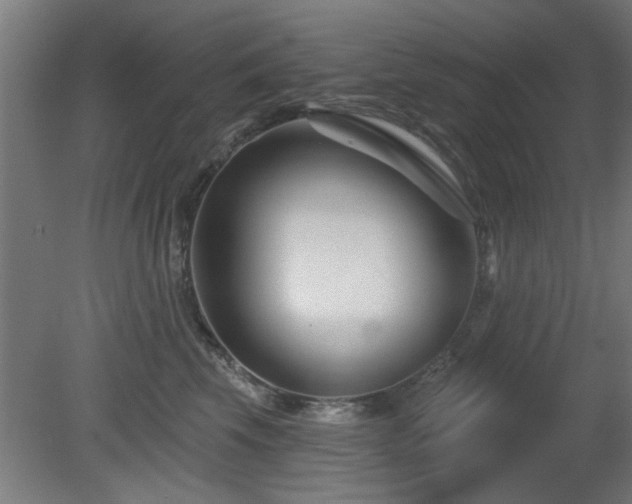 X0000079580569200612011221