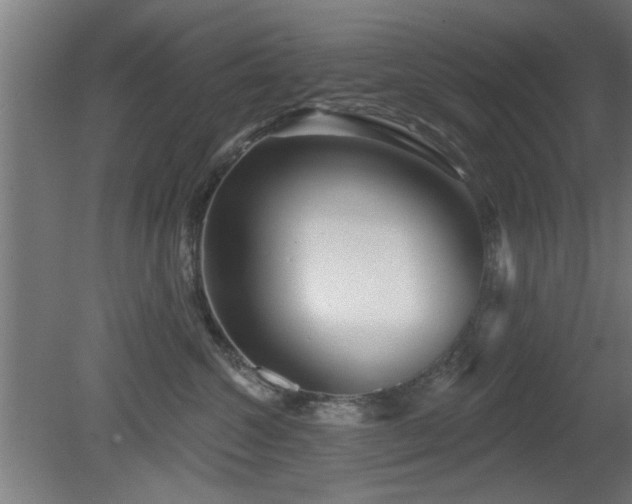 X0000079580572200612011221