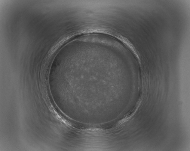 X0000079580577200612011220