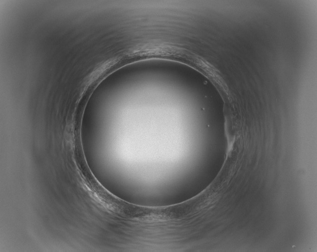 X0000079580578200612011220
