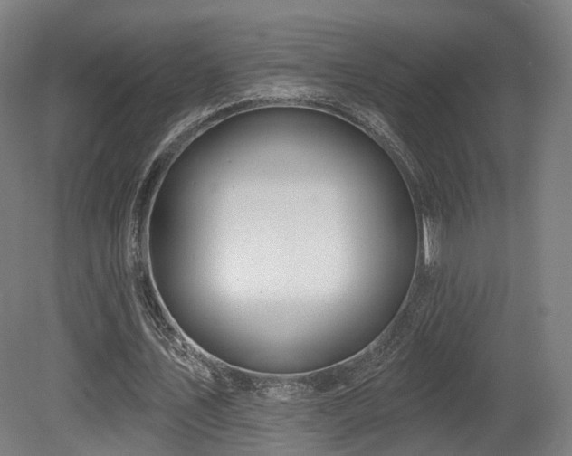 X0000079580579200612011220