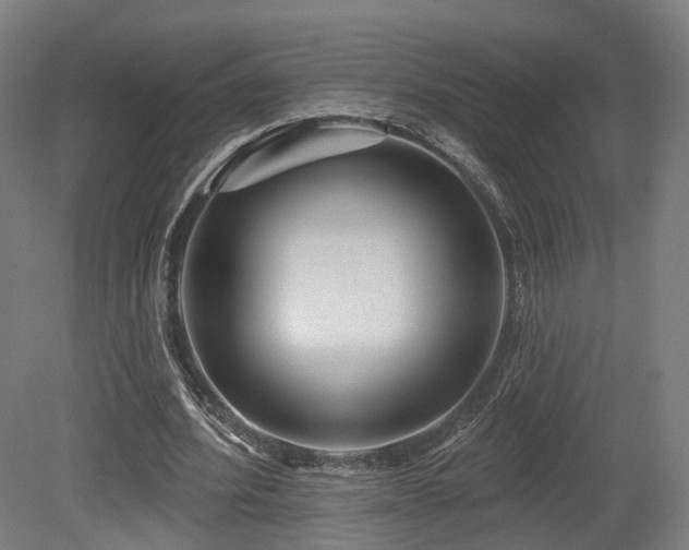 X0000079580580200612011220