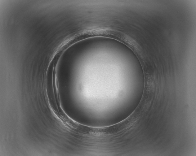 X0000079580582200612011220