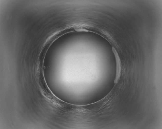 X0000079580583200612011220