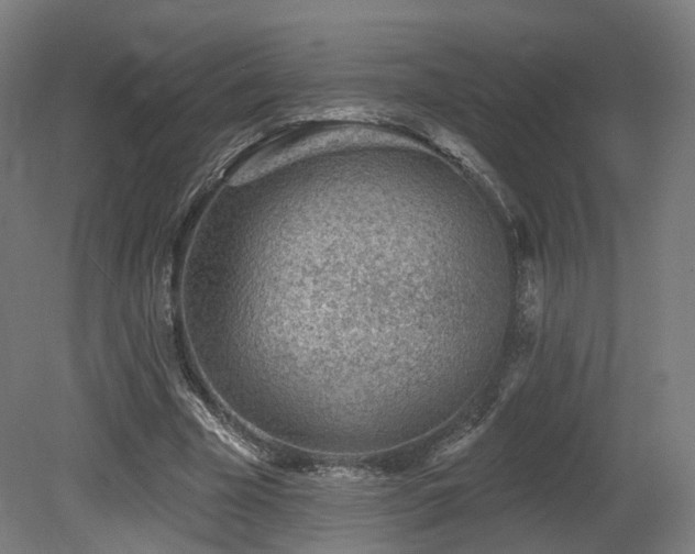 X0000079580585200612011220