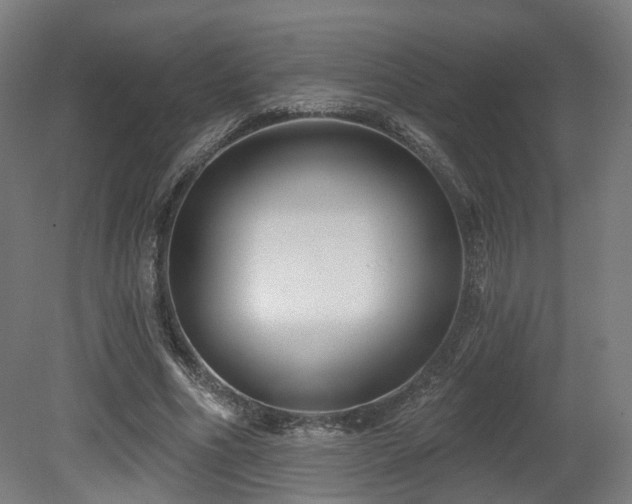 X0000079580586200612011220