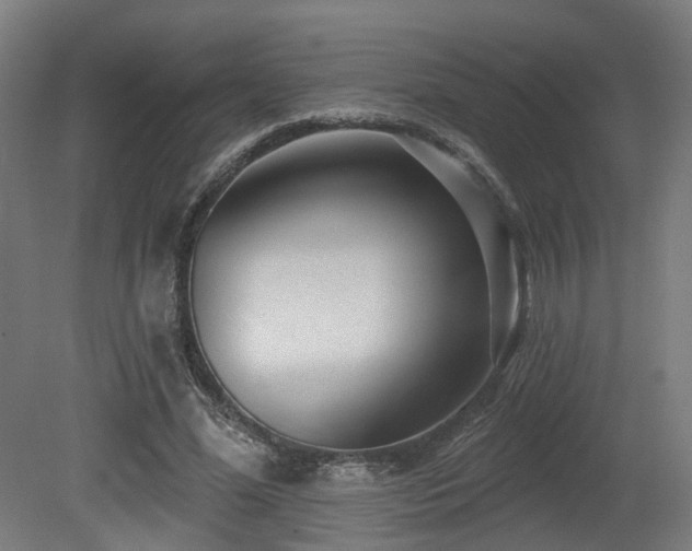X0000079580588200612011220