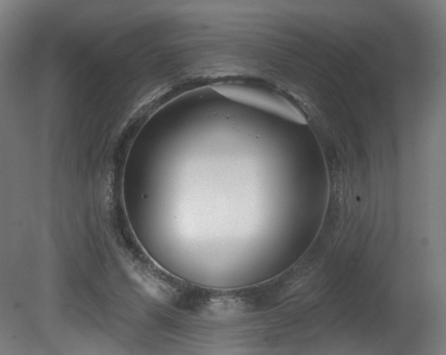 X0000079580591200612011220