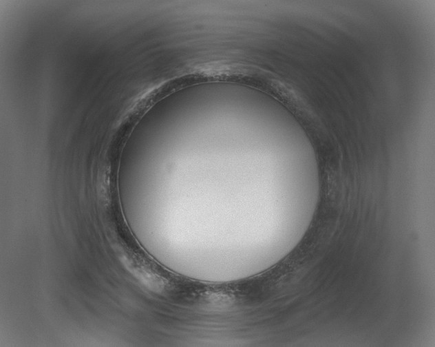 X0000079580592200612011220