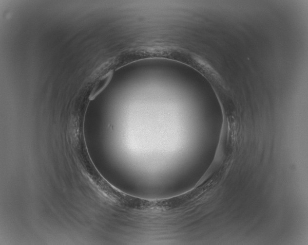 X0000079580593200612011220