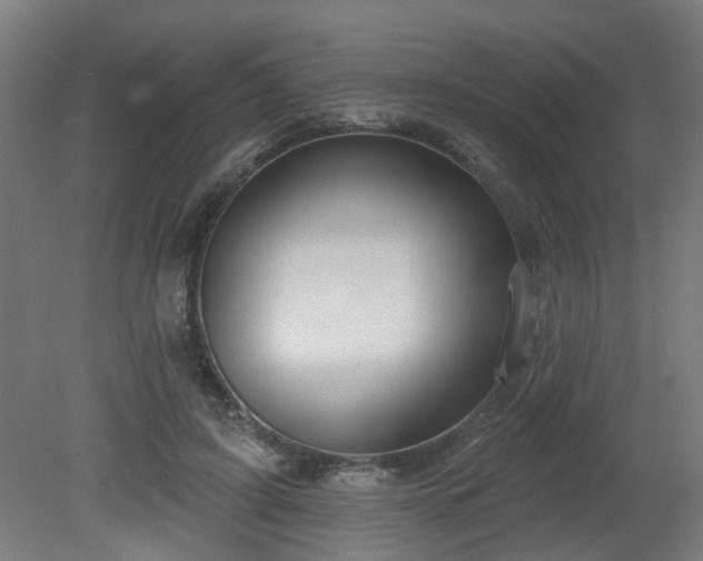 X0000079580595200612011220
