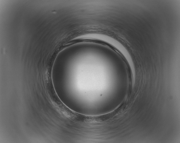 X0000079580597200612011220