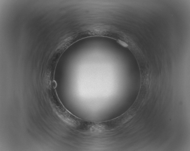 X0000079580599200612011220