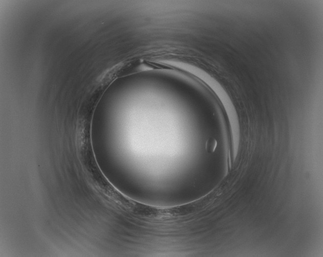 X0000079580600200612011220