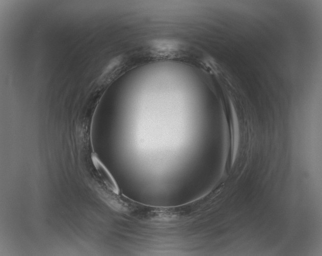 X0000079580601200612011220