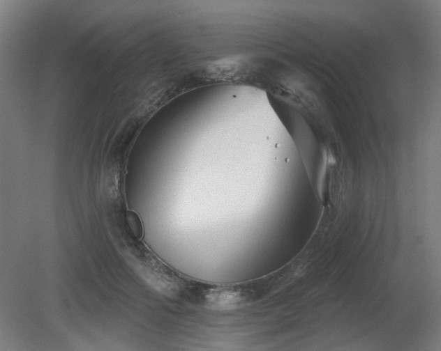 X0000079580602200612011220