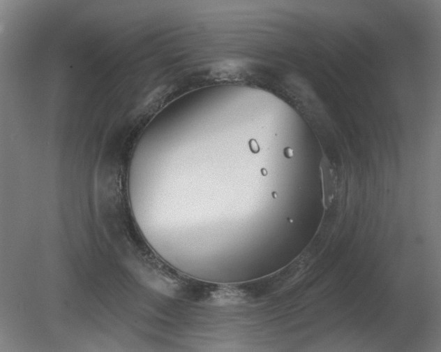 X0000079580603200612011220