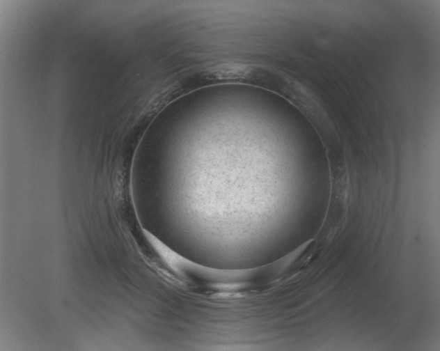 X0000079580604200612011220