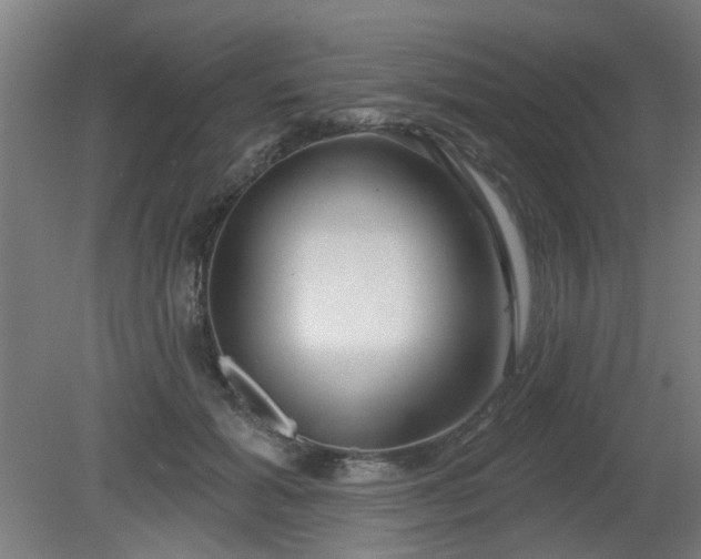 X0000079580605200612011220