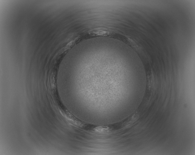 X0000079580606200612011220