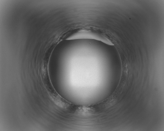 X0000079580607200612011220